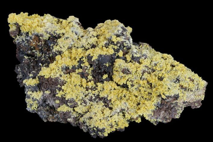 Mimetite Crystal Clusters on Limonitic Matrix - Mexico #119120